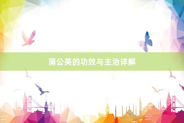 蒲公英的功效与主治详解