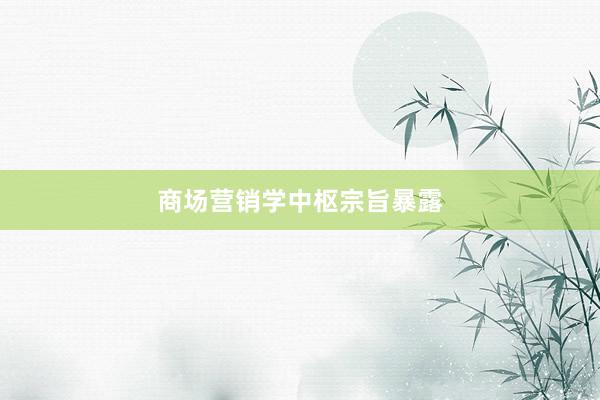 商场营销学中枢宗旨暴露