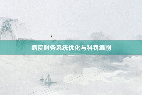 病院财务系统优化与科罚编削